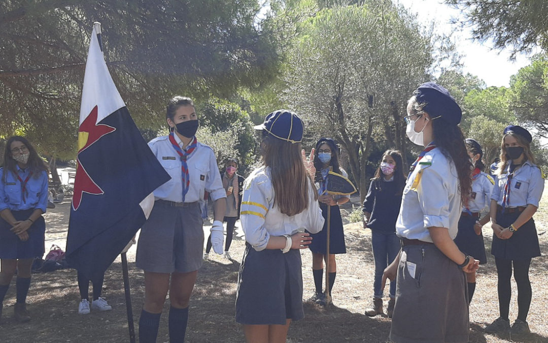 Covid vs. Scouts : Spain